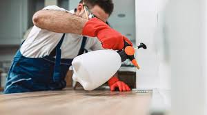 Real Estate Pest Inspections in Holt, AL